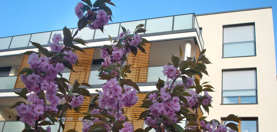 Wohnhöfe Große Düwelstr./Tiestestr., Hannover – Freianlagen im Geschosswohnungsbau, Foto 5