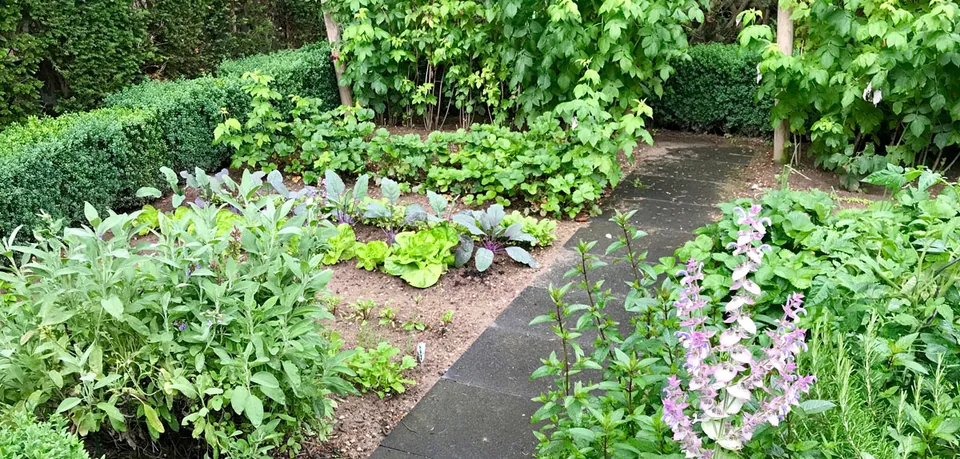 Hausgarten G., Pattensen – Gartengestaltung, Foto 7