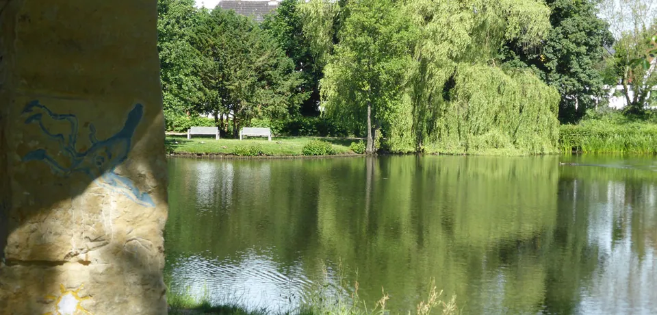 Sanierung des Falderaparks in Neumünster – Parkanlage, Foto 6