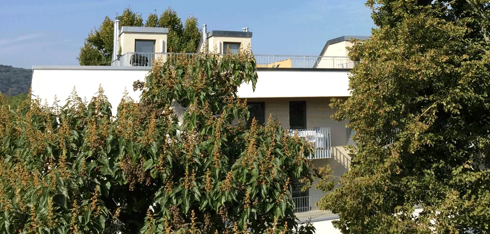 Neue Wohnbebauung Michelstr./Brunostr. In Würzburg – Freianlagen im Geschosswohnungsbau, Foto 5