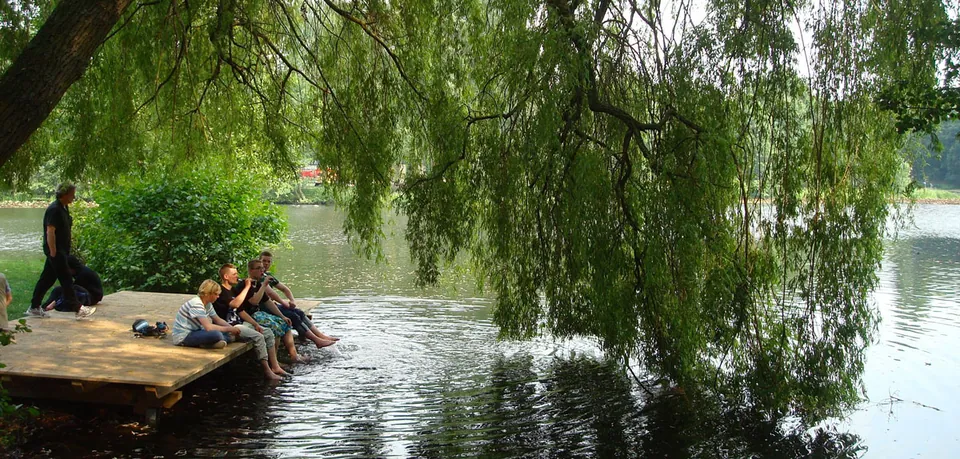 Sanierung des Falderaparks in Neumünster – Parkanlage, Foto 8