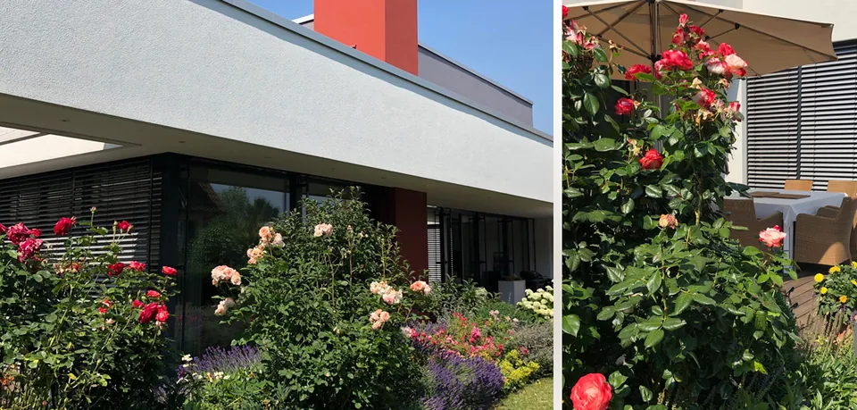 Hausgarten G., Pattensen – Gartengestaltung, Foto 10