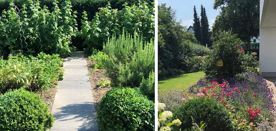 Hausgarten G., Pattensen – Gartengestaltung, Foto 11