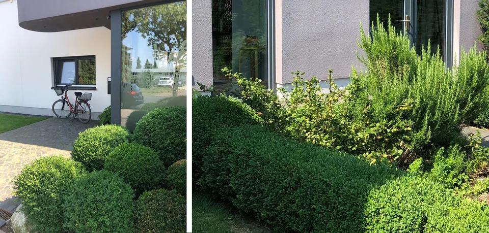 Hausgarten G., Pattensen – Gartengestaltung, Foto 12