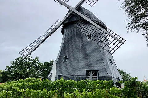 Aussenanlagen Buchholzer Mühle / Hannover