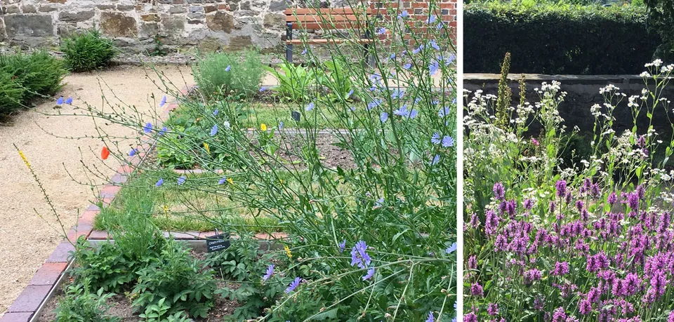 Neuanlage Klostergarten Schinna/Nienburg – Außenanlagen an denkmalgeschützten Gebäuden, Foto 5