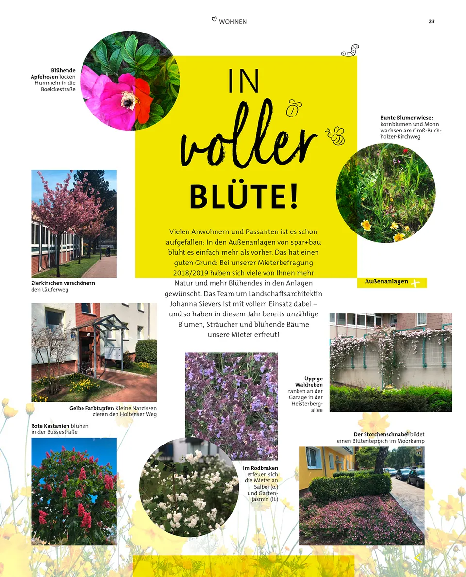 Spar+Bau Mieterzeitung, H. 2 / 2020