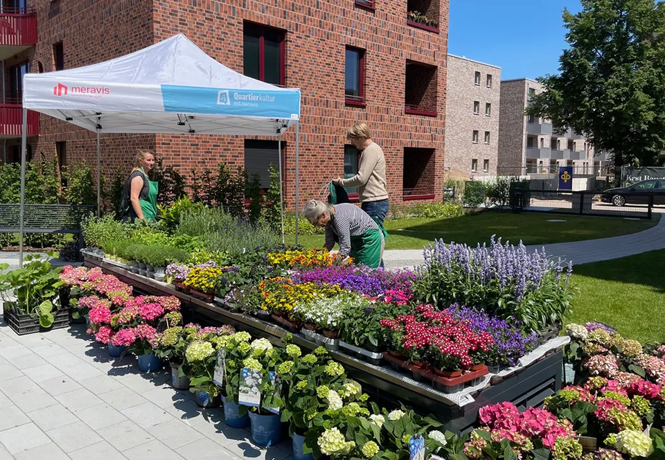 Nachbarschaftsfest und Pflanzenbasar