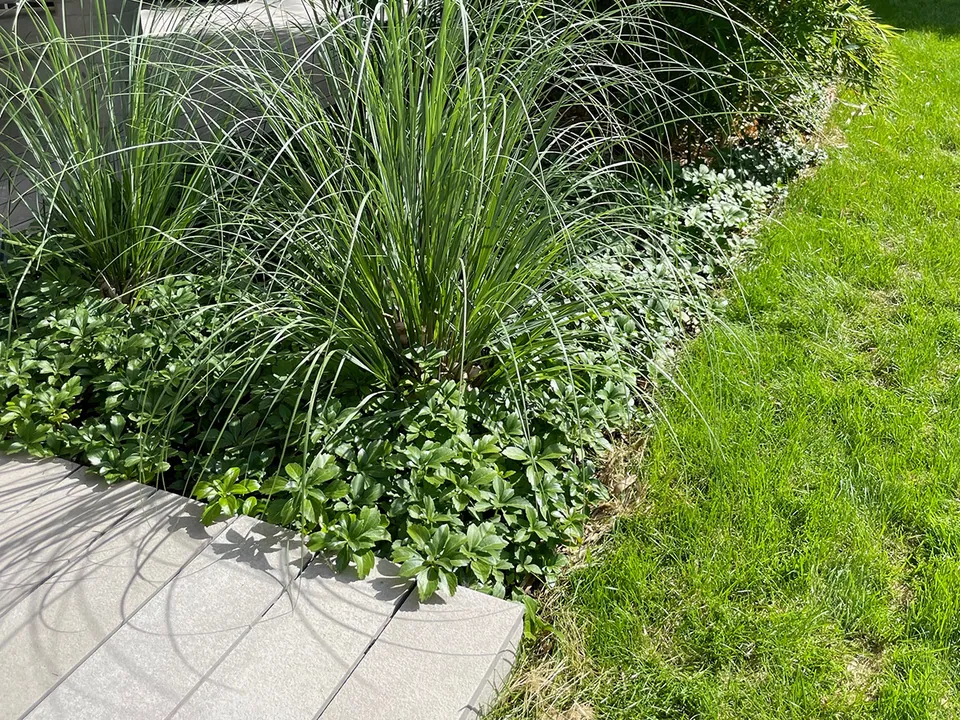 Umgestaltung Hausgarten N. in Hannover – Gartengestaltung, Foto 5